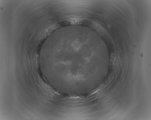 X0000066100650200603101142