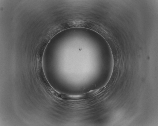 X0000066100651200603101142