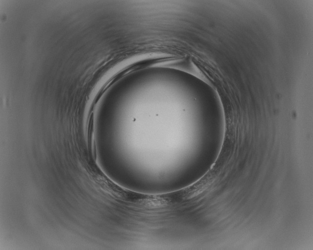 X0000066100652200603101142