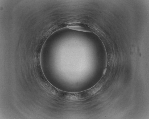 X0000066100655200603101142