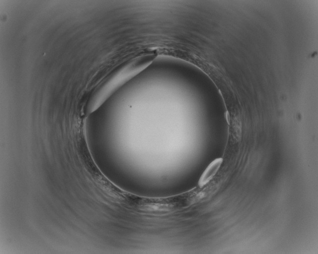 X0000066100657200603101142