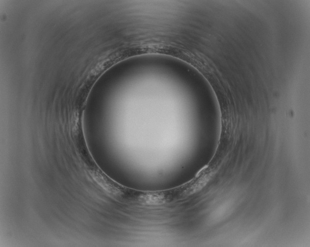 X0000066100660200603101142