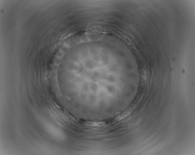 X0000066100663200603101142