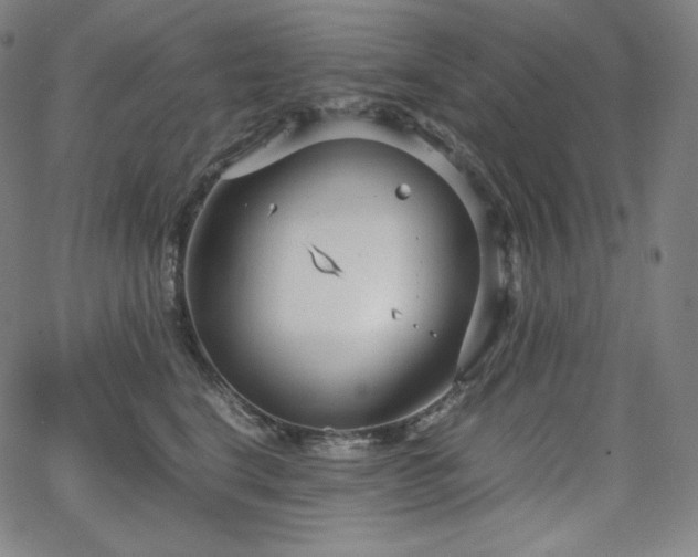 X0000066100664200603101142