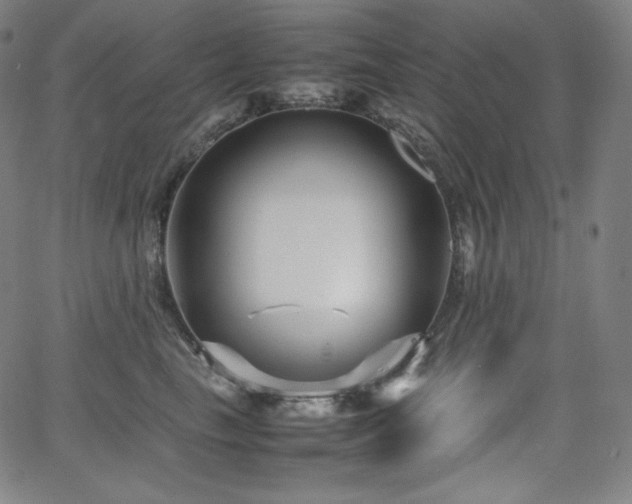 X0000066100665200603101142