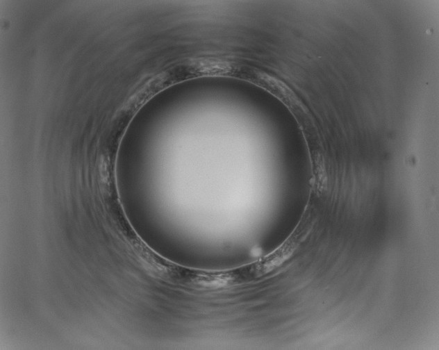 X0000066100667200603101142