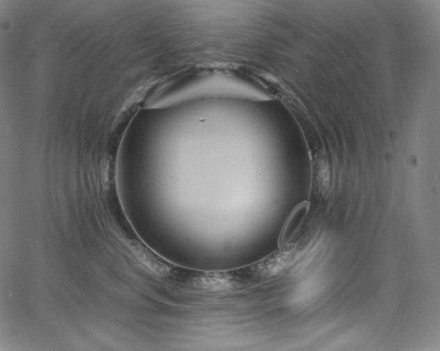 X0000066100668200603101142