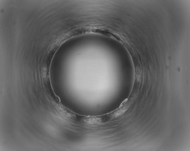 X0000066100670200603101142