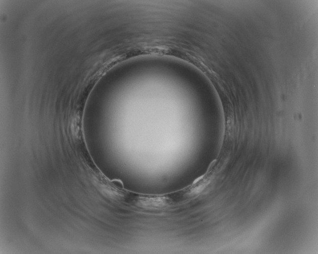 X0000066100671200603101142