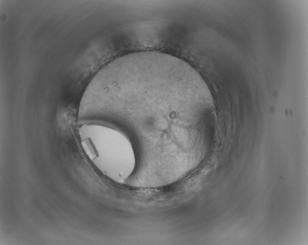 X0000066100672200603101142