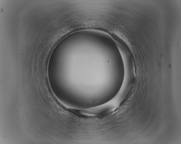 X0000066100673200603101142