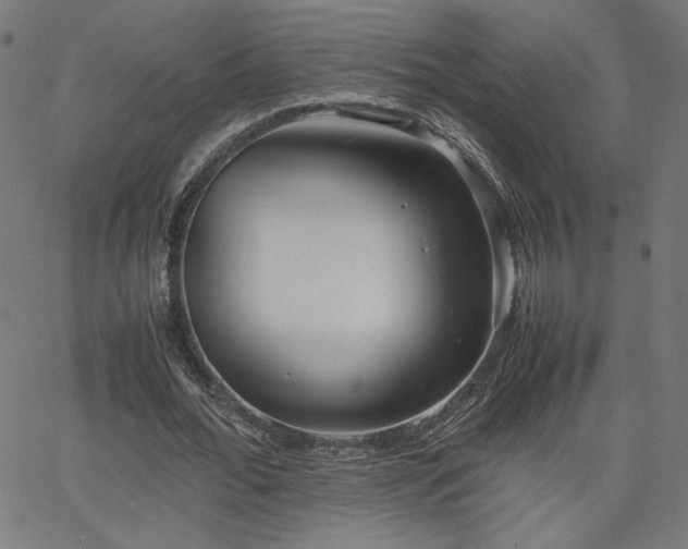 X0000066100676200603101142