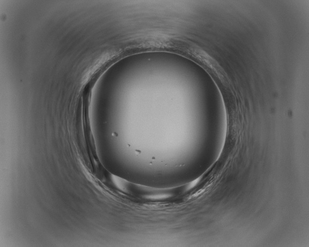 X0000066100677200603101142