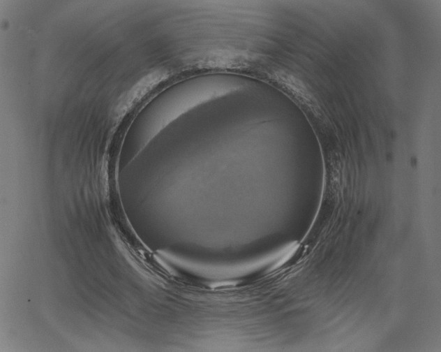 X0000066100678200603101142