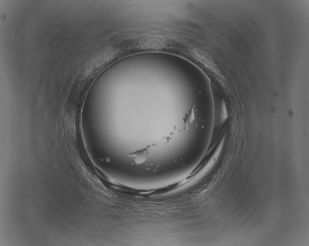 X0000066100681200603101142