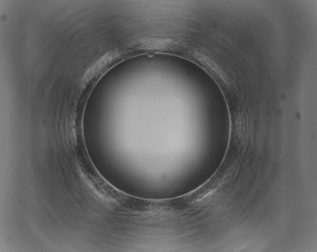 X0000066100682200603101142