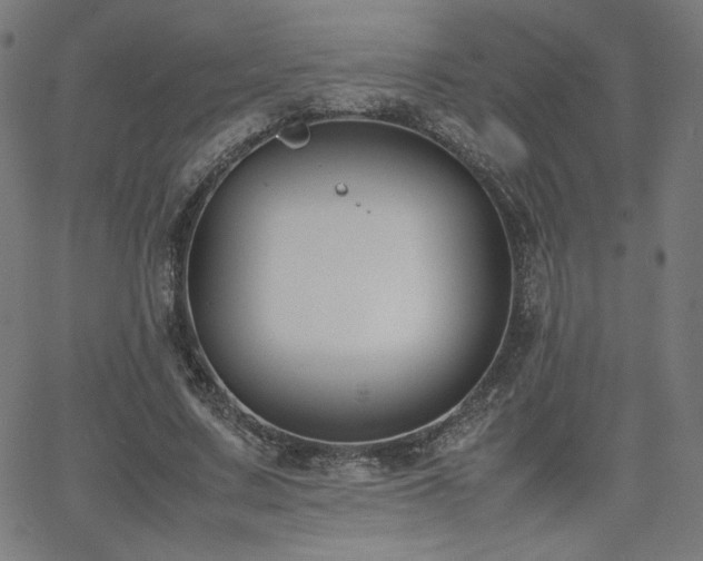 X0000066100683200603101142