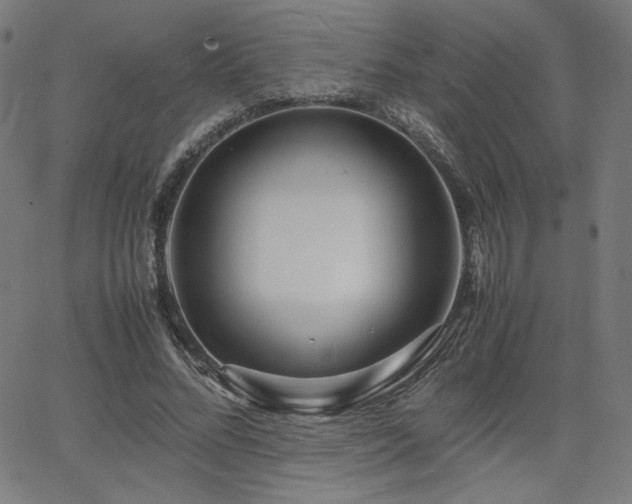 X0000066100684200603101142