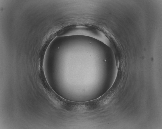 X0000066100685200603101141