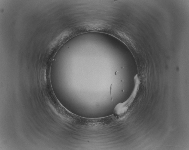 X0000066100686200603101141