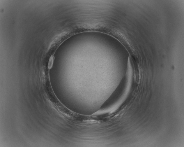 X0000066100688200603101141