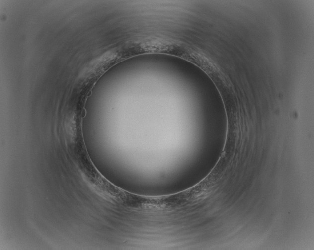 X0000066100690200603101141