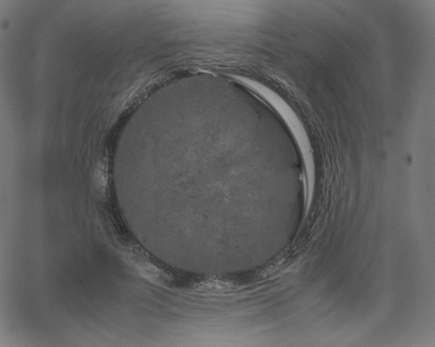 X0000066100691200603101141