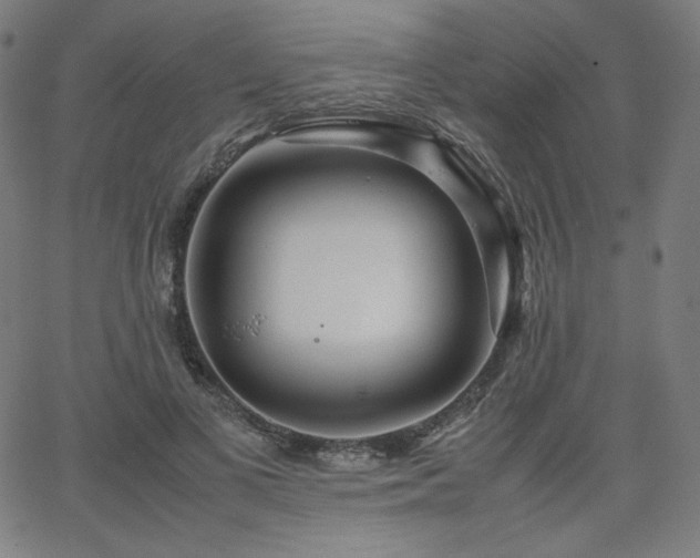 X0000066100693200603101141