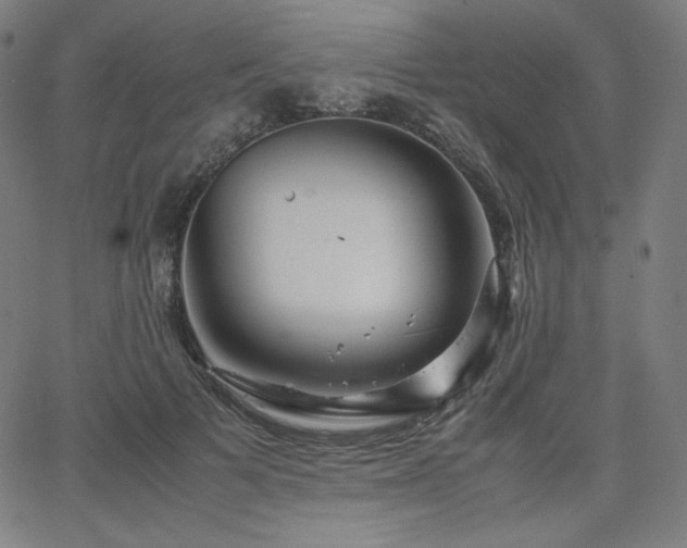 X0000066100697200603101141