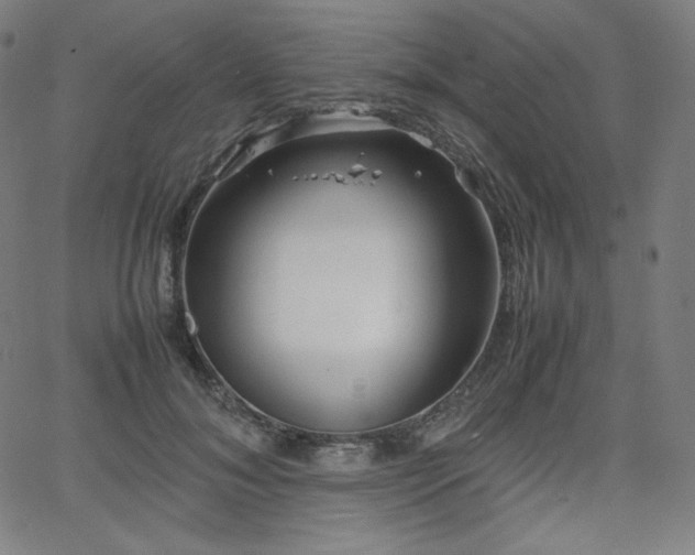 X0000066100700200603101141