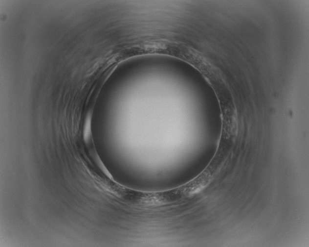 X0000066100704200603101141