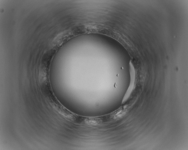 X0000066100706200603101141