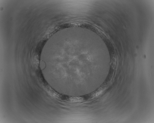 X0000066100707200603101141