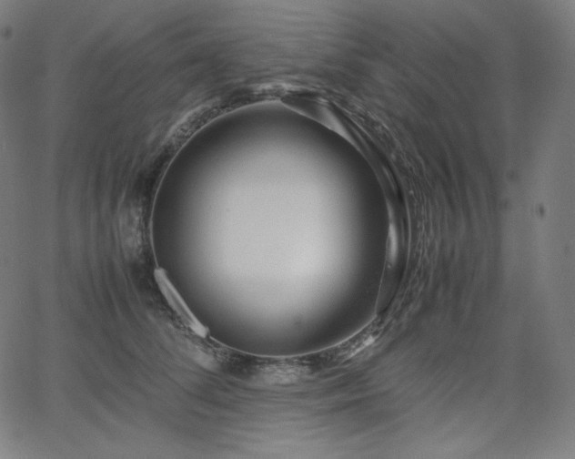 X0000066100708200603101141