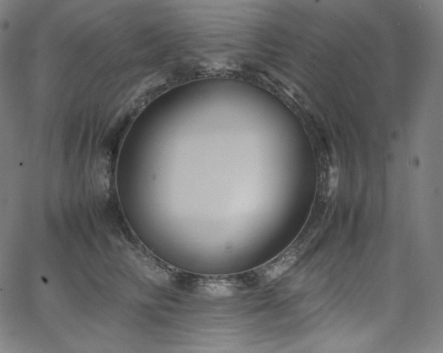 X0000066100710200603101141