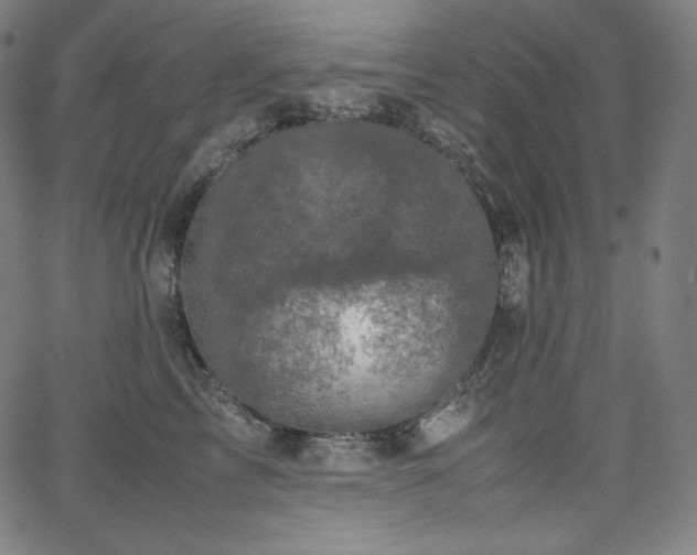 X0000066100713200603101141