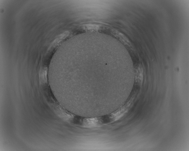 X0000066100717200603101141