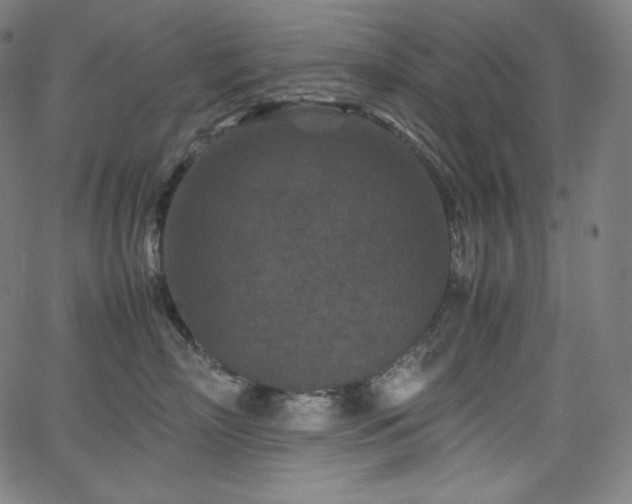 X0000066100718200603101141