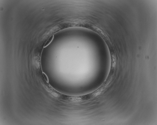 X0000066100719200603101141