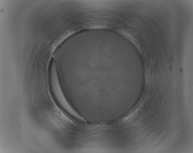 X0000066100721200603101140