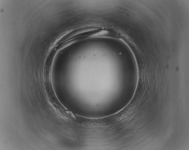 X0000066100722200603101140