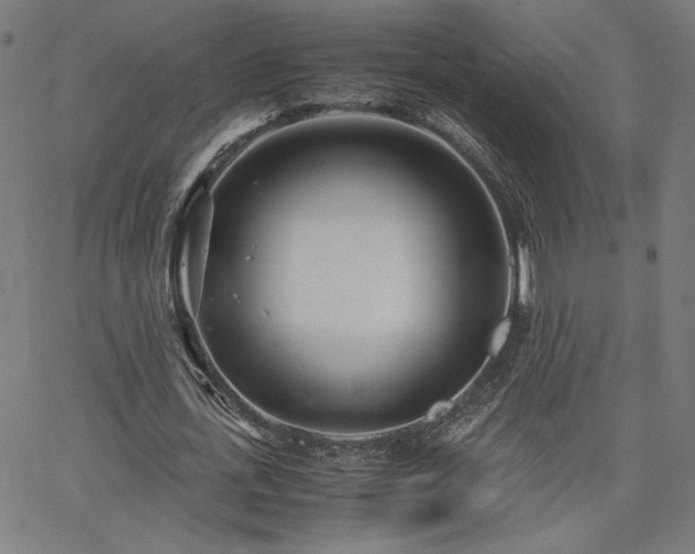 X0000066100723200603101140