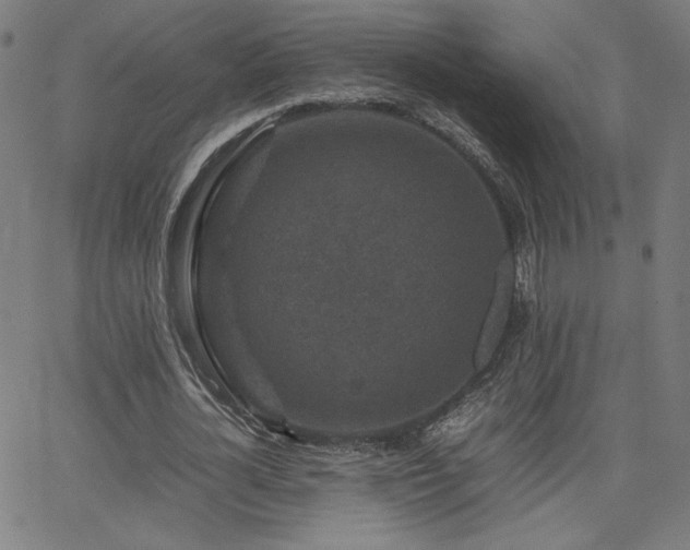 X0000066100724200603101140