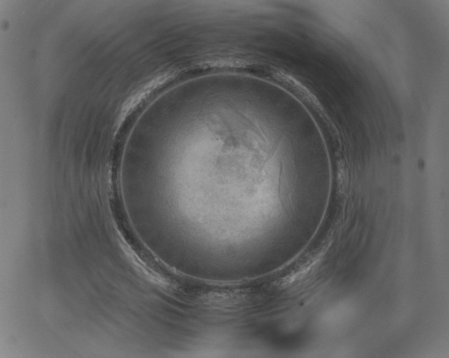 X0000066100725200603101140