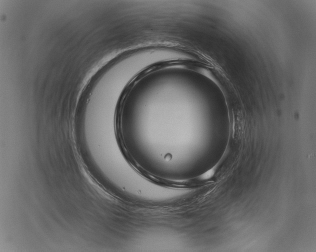 X0000066100726200603101140