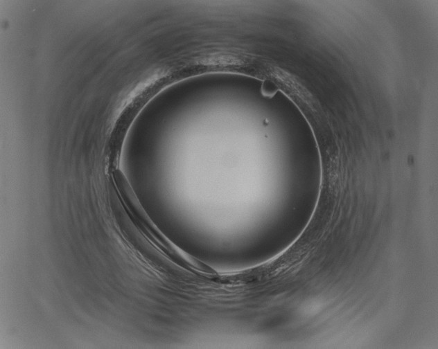 X0000066100727200603101140