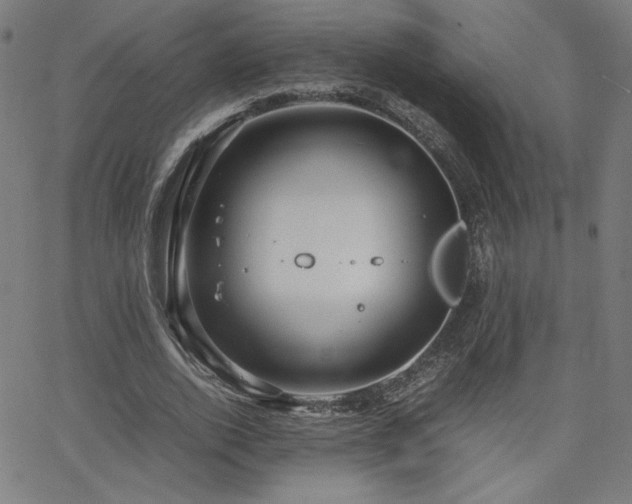 X0000066100728200603101140