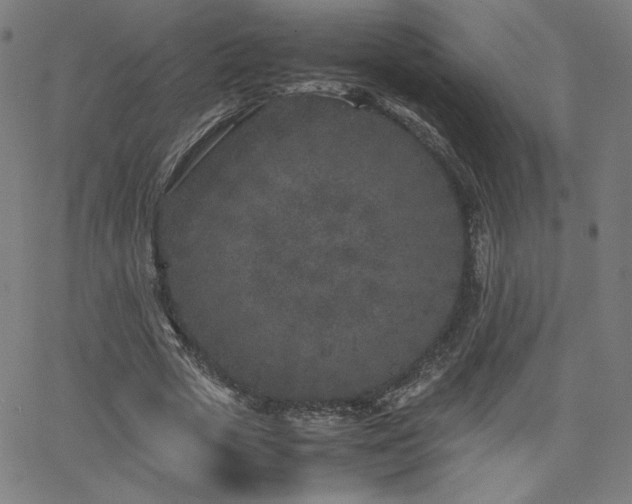 X0000066100729200603101140