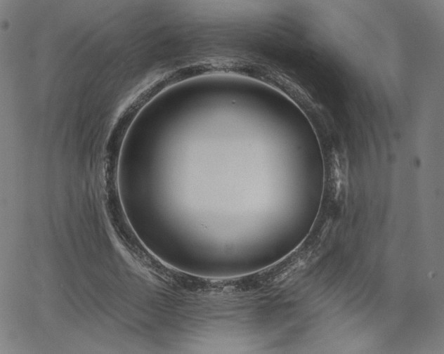 X0000066100730200603101140