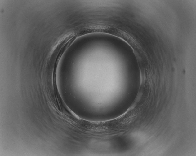 X0000066100731200603101140